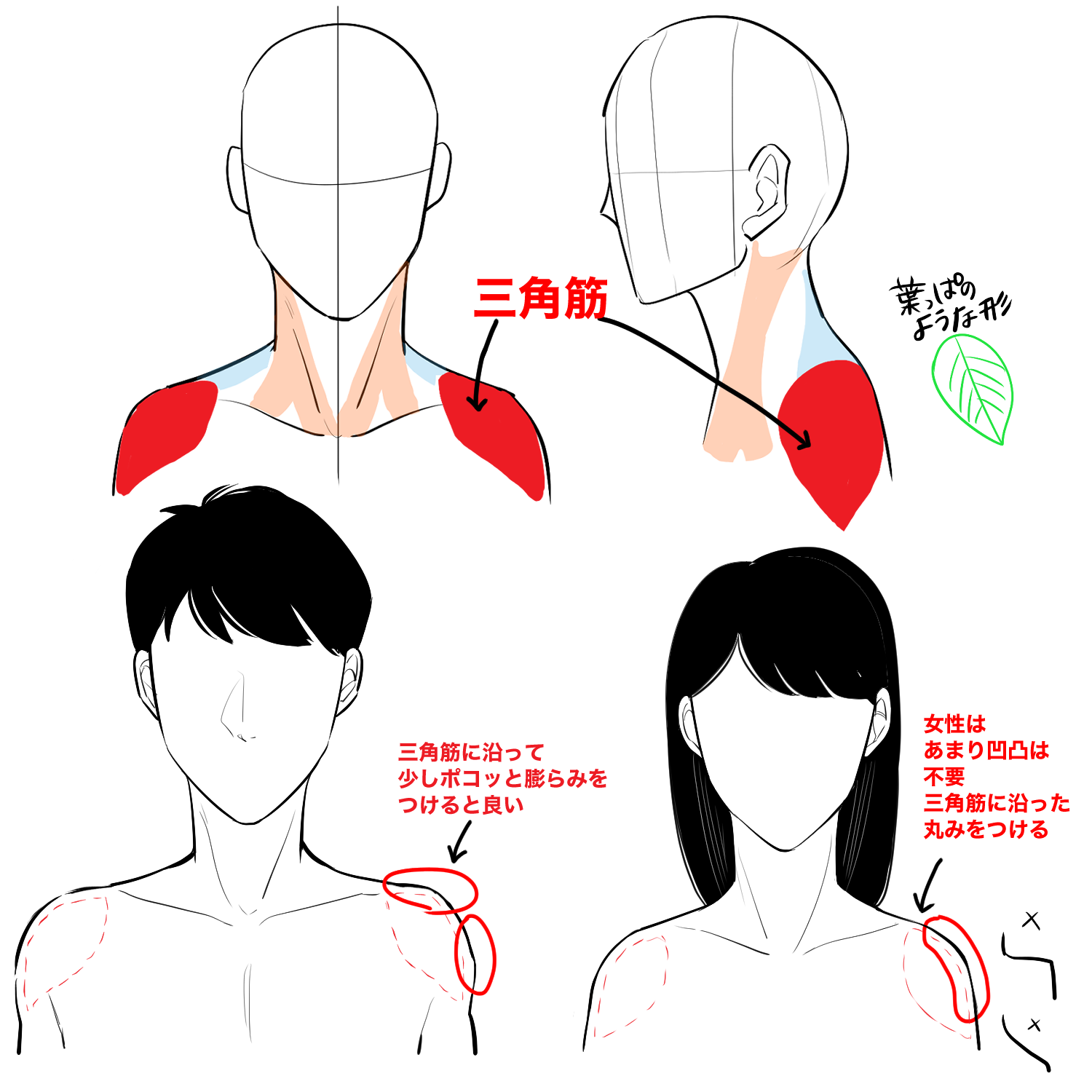 初心者向け 肩の描き方を学ぼう Medibang Paint 無料のイラスト マンガ制作ツール