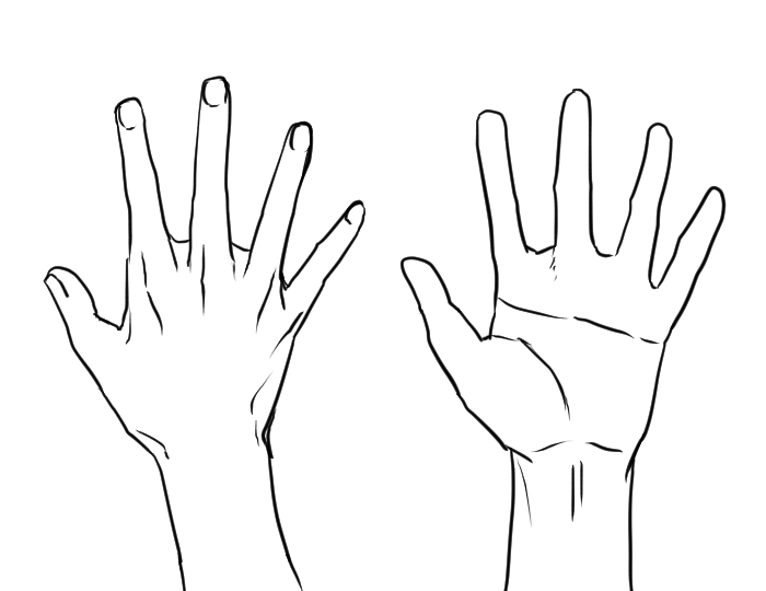 Skill Up How To Draw A Hand From Bones Intermediate Level Medibang Paint