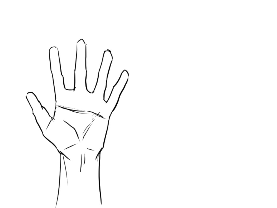 Mejora tus habilidades] Cómo dibujar manos tomando como base la estructura  ósea y las proporciones anatómicas (nivel intermedio) | MediBang Paint -  the free digital painting and manga creation software