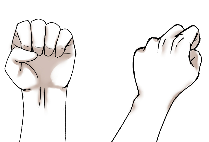 Let S Draw A Hand The Shape Of A Fist Medibang Paint