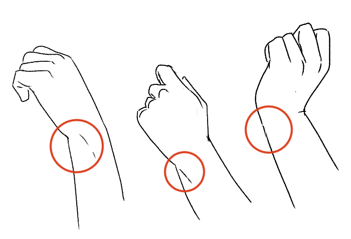 Easy]How to draw wrists - structure of their joints 