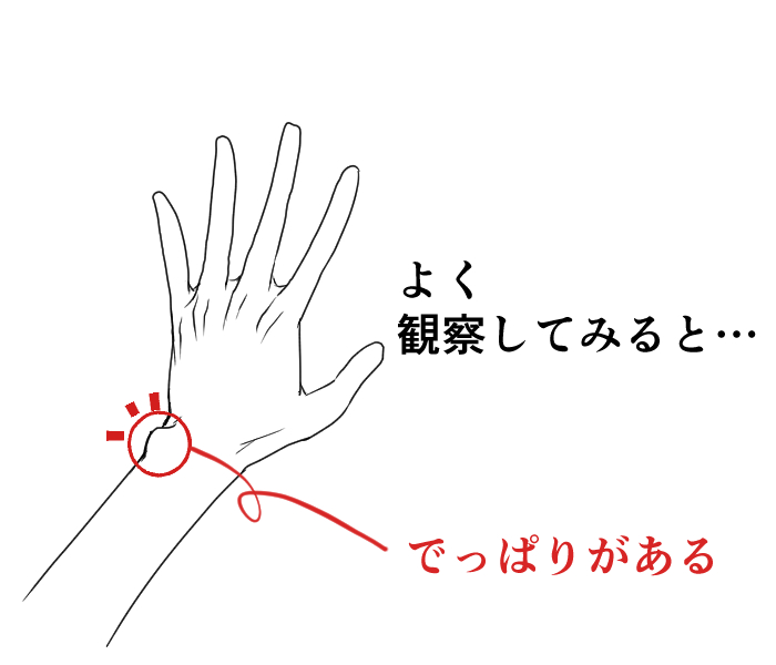 Easy]How to draw wrists - structure of their joints 