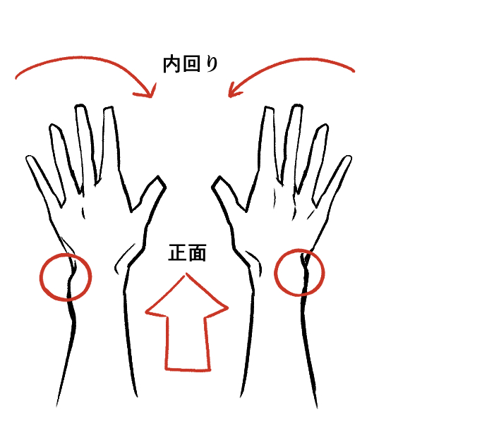 Easy]How to draw wrists - structure of their joints 