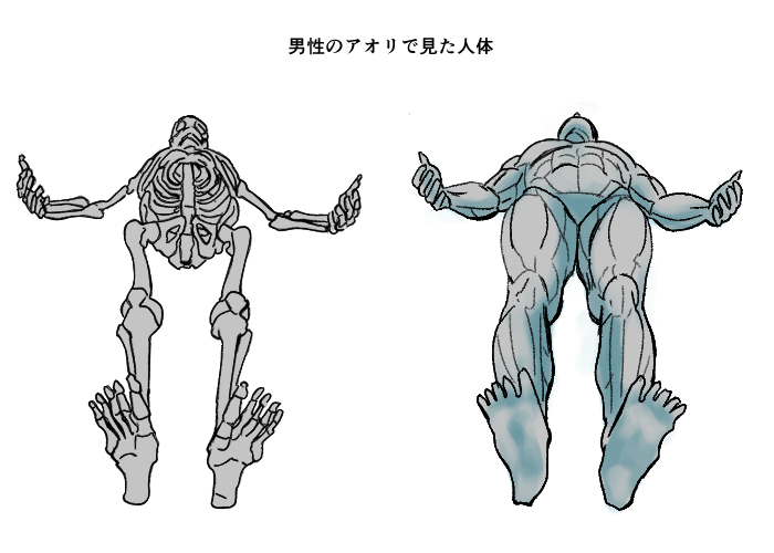 Básico] Cómo se ve un cuerpo humano visto desde abajo | MediBang Paint -  the free digital painting and manga creation software