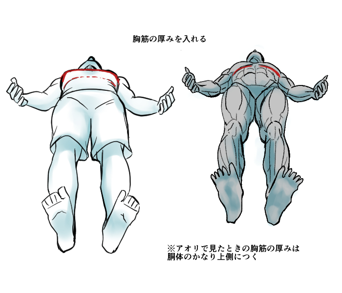 基礎 アオリ視点の人体の見え方 Medibang Paint 無料のイラスト マンガ制作ツール