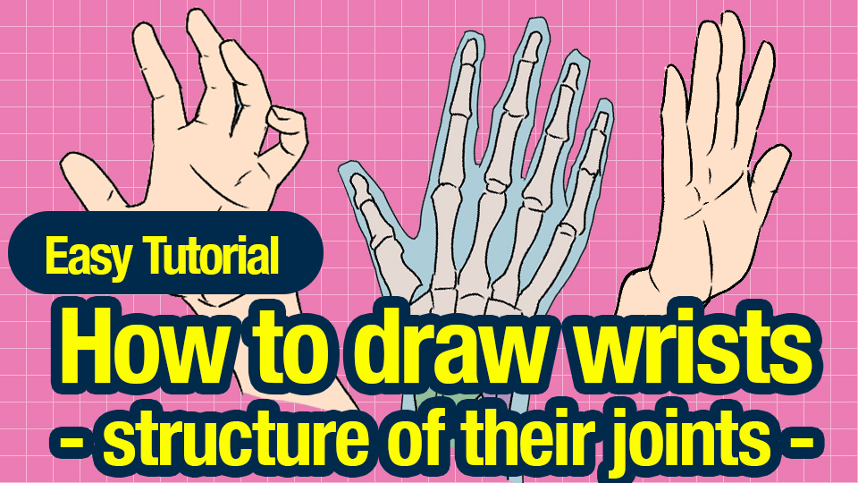 Easy]How to draw wrists - structure of their joints 