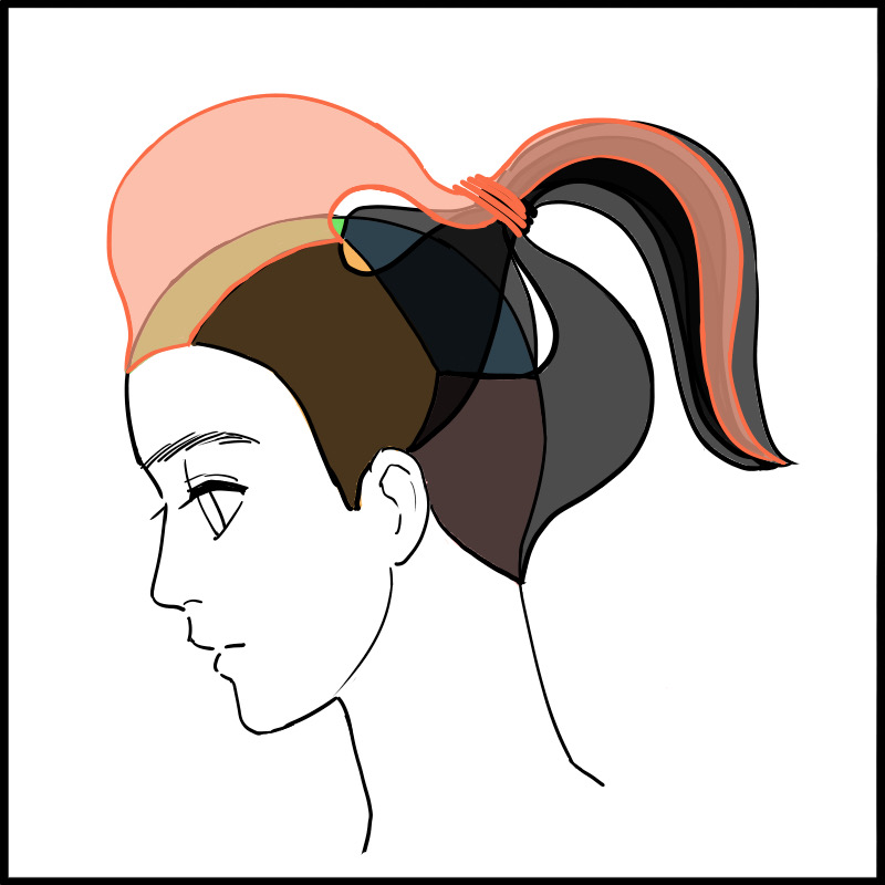 Técnicas para desenhar facilmente diversos estilos de penteados  MediBang  Paint - the free digital painting and manga creation software