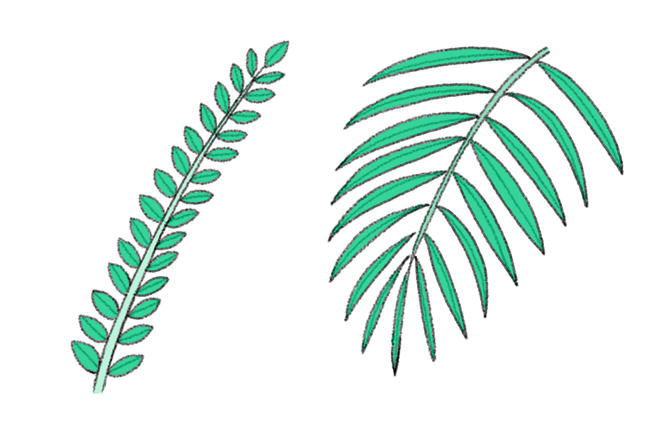  Tutorial para dibujar hojas de plantas