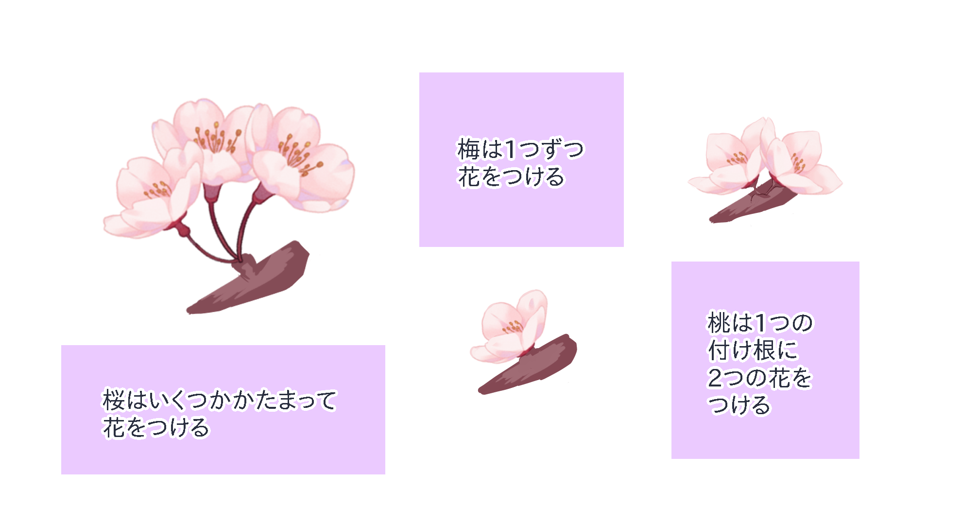 桜ブラシを使ってみよう ブラシの使い方 桜の基本的な描き方 Medibang Paint 無料のイラスト マンガ制作ツール