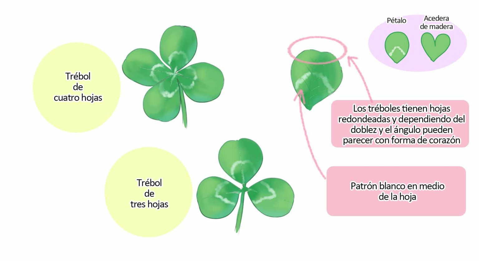 Vamos a dibujar coronas de tréboles【con un vistazo al lenguaje de las