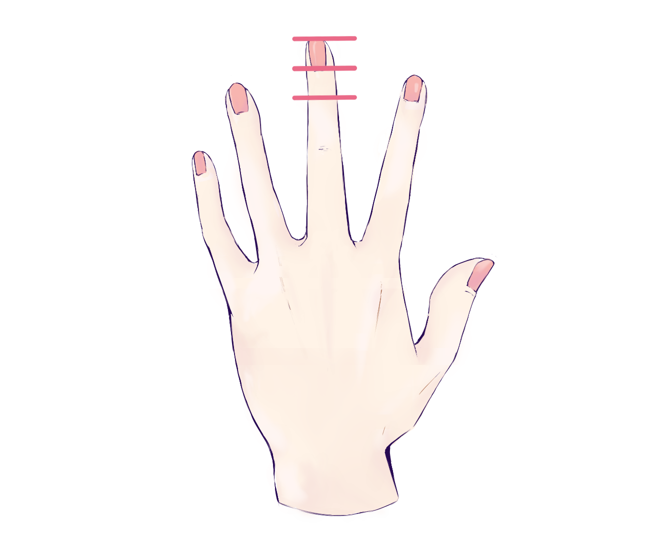 How to Draw Hands and Fingers in Manga Anime Illustration Style