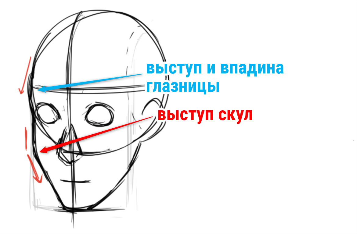 Для новичков] Как нарисовать лицо 3/4 поворота | MediBang Paint -  Бесплатный графический редактор для создания иллюстраций и манги