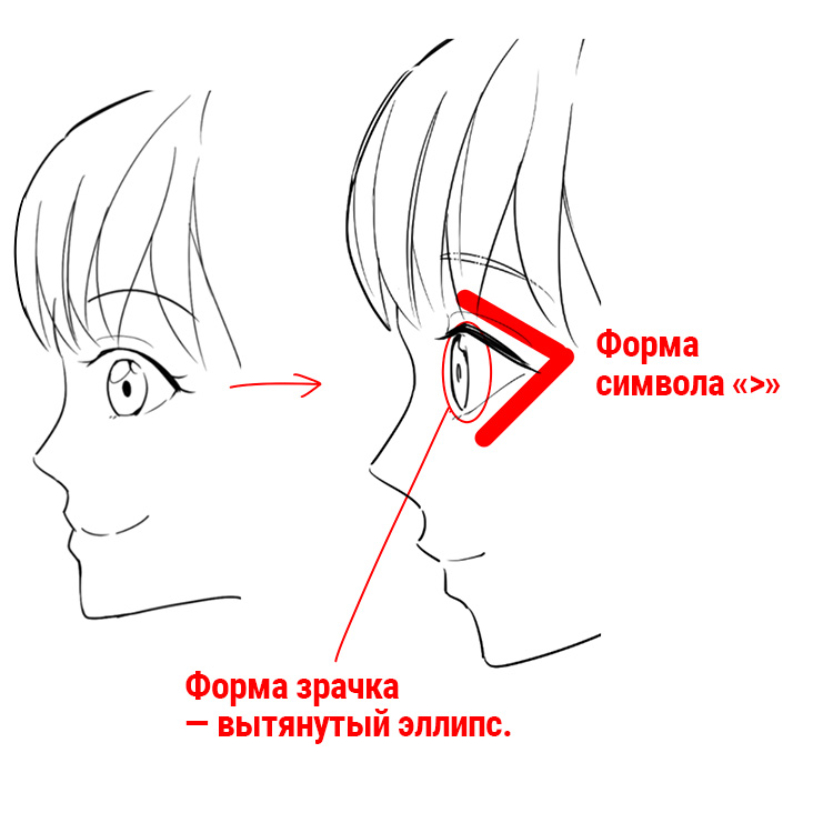 Комментарии и отзывы (3)