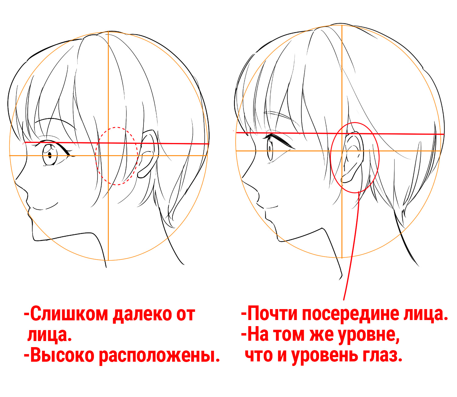 Для новичков] Научитесь рисовать профиль! | MediBang Paint - Бесплатный  графический редактор для создания иллюстраций и манги