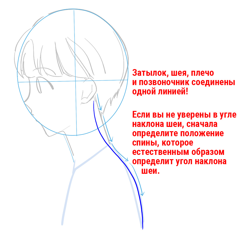 Для новичков] Научитесь рисовать шею! | MediBang Paint - Бесплатный  графический редактор для создания иллюстраций и манги