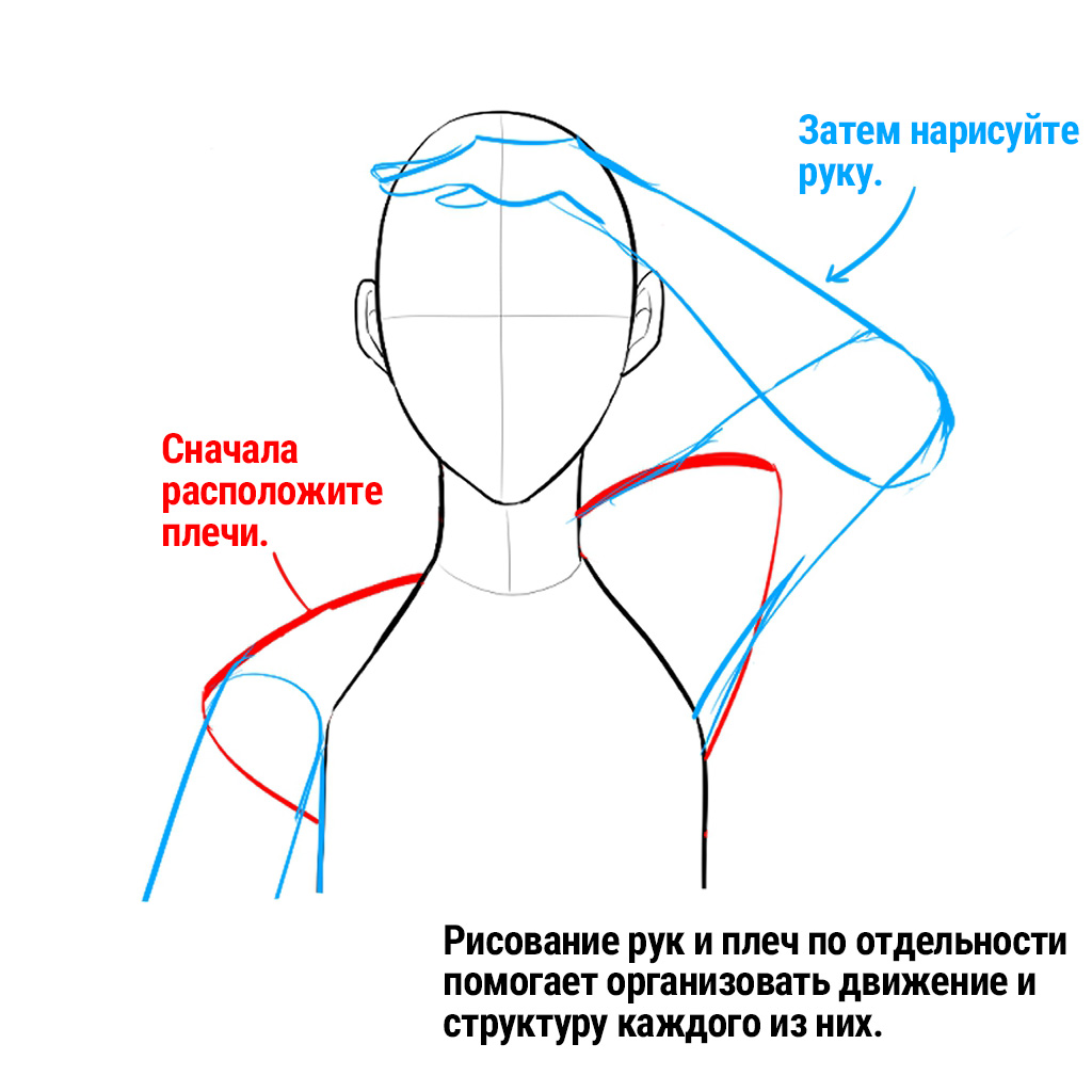 Рисунок до плеч как называется