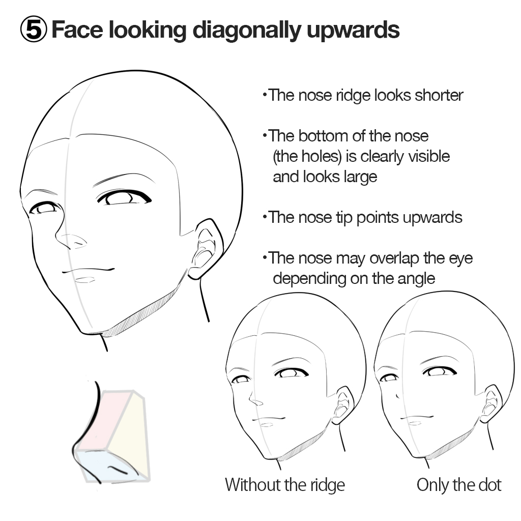 How to Draw a Realistic Anime Face Step by Step  AnimeOutline