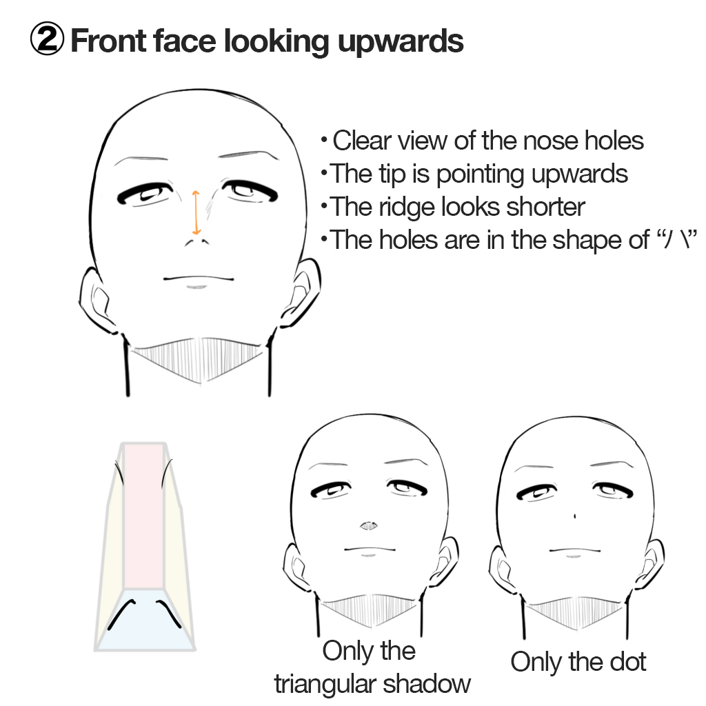How to Draw a Cartoon Nose  Envato Tuts