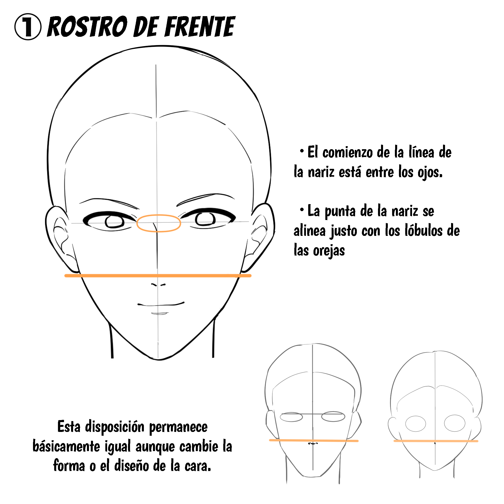 Cómo dibujar una nariz de frente (rostro frontal)
