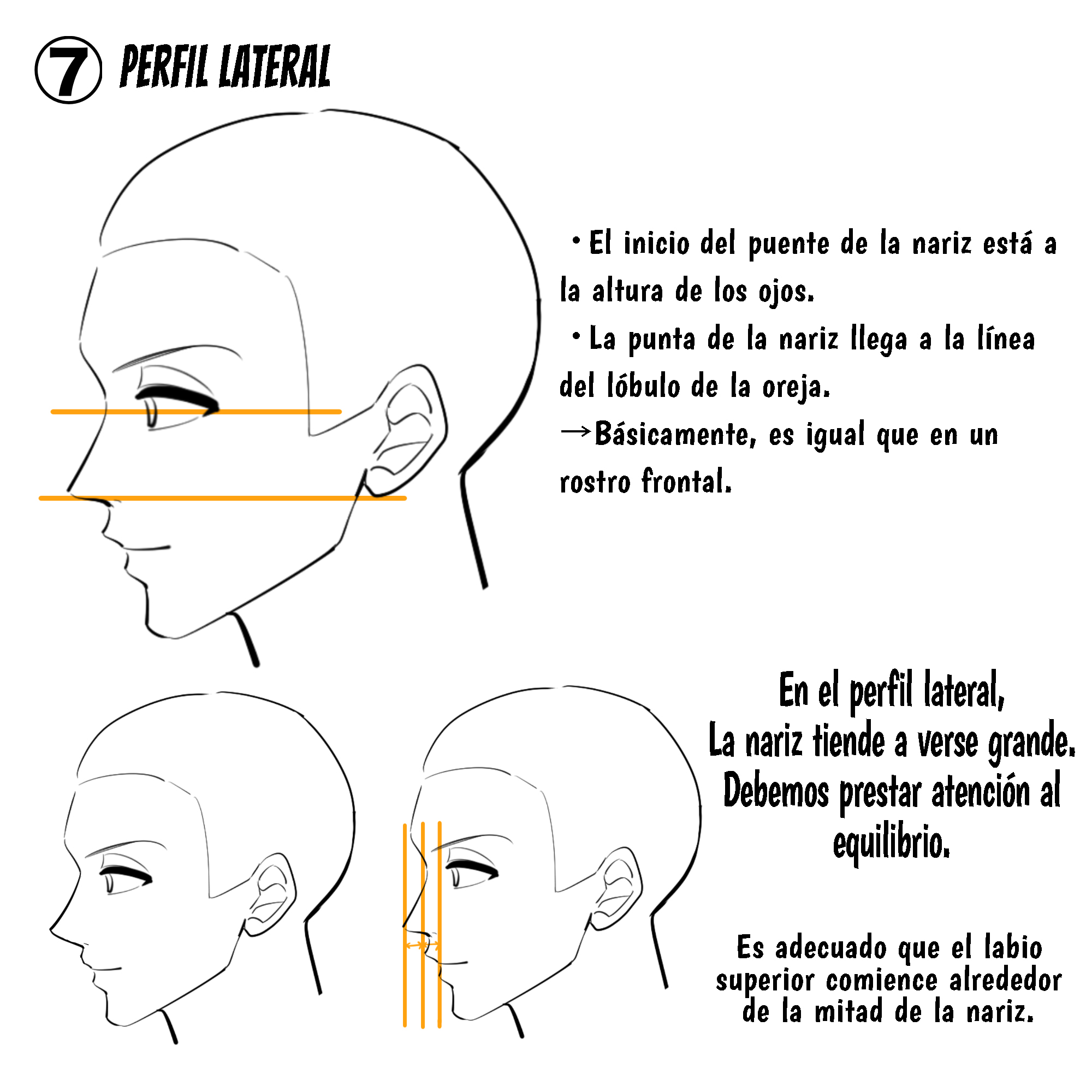 Cómo dibujar una nariz: Perfil lateral