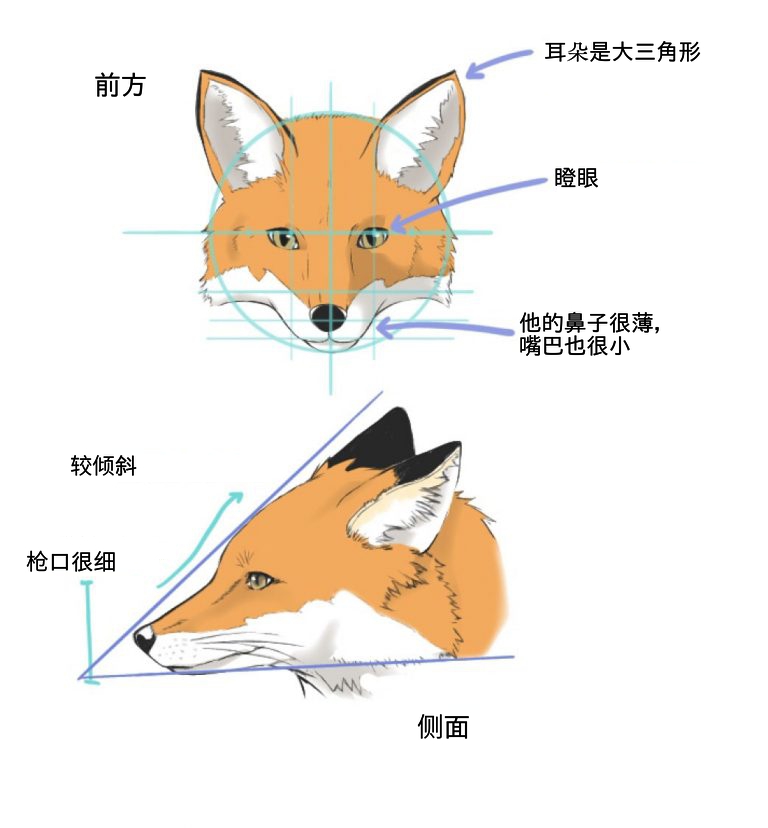 狐狸和狼怎么画 Medibang Paint